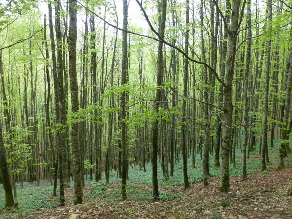 Hostal Rural Arrobi Borda Eugi Εξωτερικό φωτογραφία