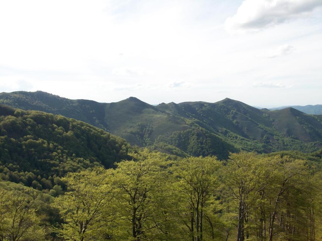 Hostal Rural Arrobi Borda Eugi Εξωτερικό φωτογραφία